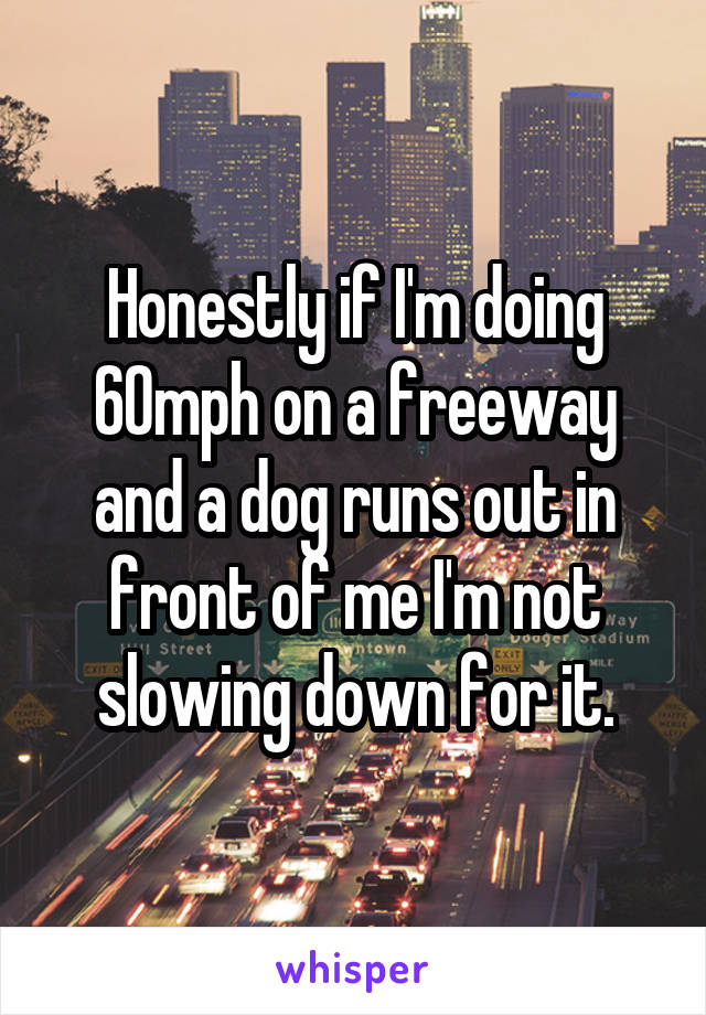 Honestly if I'm doing 60mph on a freeway and a dog runs out in front of me I'm not slowing down for it.