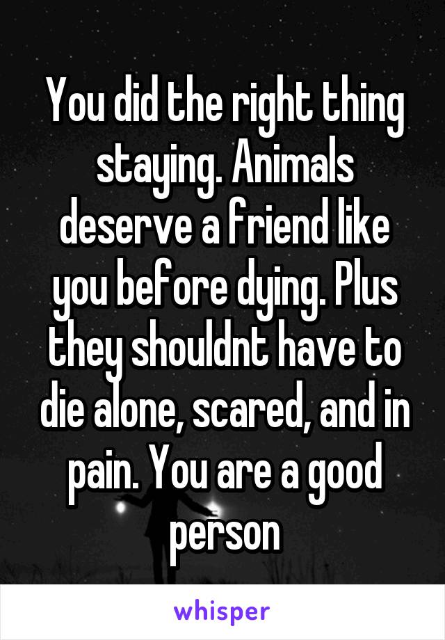 You did the right thing staying. Animals deserve a friend like you before dying. Plus they shouldnt have to die alone, scared, and in pain. You are a good person