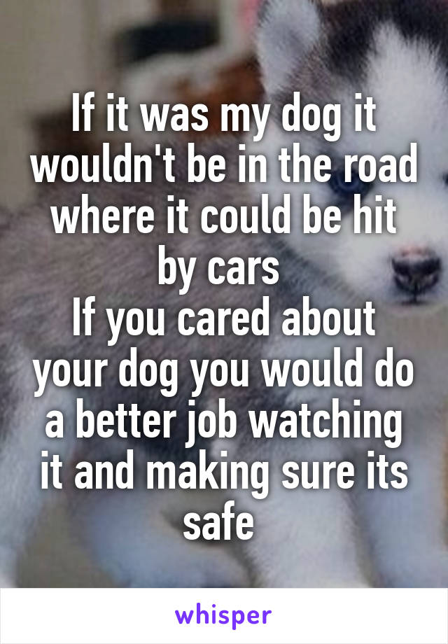 If it was my dog it wouldn't be in the road where it could be hit by cars 
If you cared about your dog you would do a better job watching it and making sure its safe 