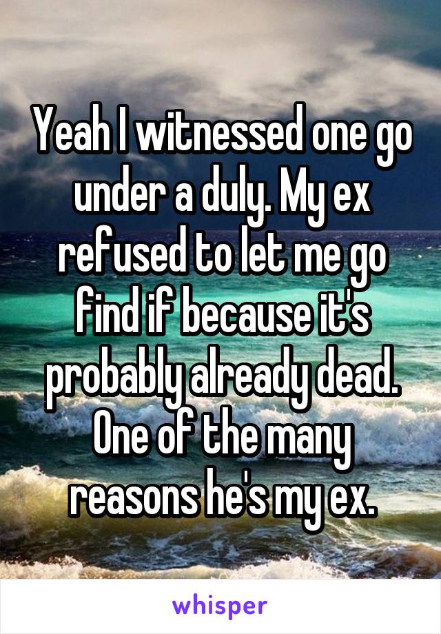 Yeah I witnessed one go under a duly. My ex refused to let me go find if because it's probably already dead. One of the many reasons he's my ex.