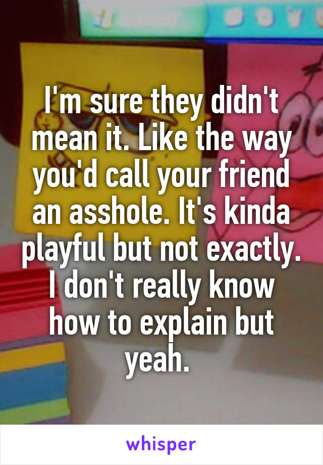 I'm sure they didn't mean it. Like the way you'd call your friend an asshole. It's kinda playful but not exactly. I don't really know how to explain but yeah. 