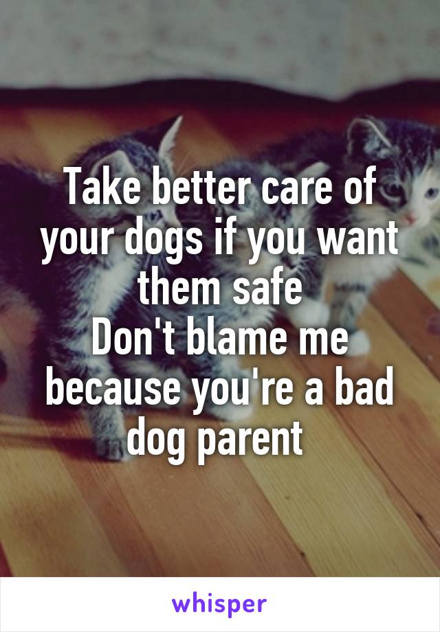 Take better care of your dogs if you want them safe
Don't blame me because you're a bad dog parent 