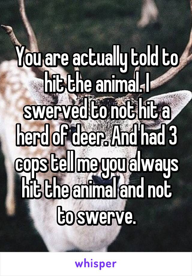 You are actually told to hit the animal. I swerved to not hit a herd of deer. And had 3 cops tell me you always hit the animal and not to swerve.