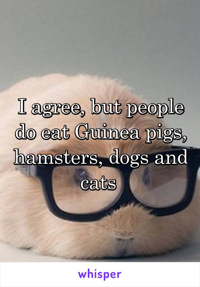 I agree, but people do eat Guinea pigs, hamsters, dogs and cats 