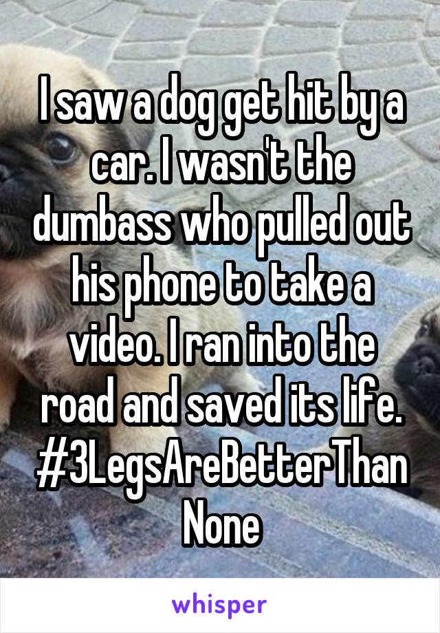 I saw a dog get hit by a car. I wasn't the dumbass who pulled out his phone to take a video. I ran into the road and saved its life. #3LegsAreBetterThanNone