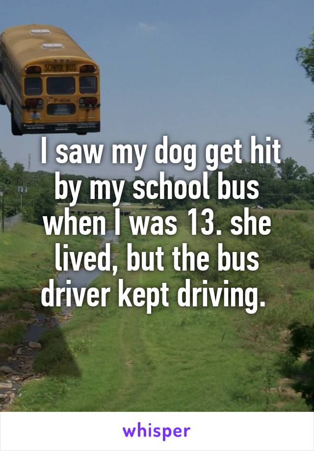  I saw my dog get hit by my school bus when I was 13. she lived, but the bus driver kept driving. 