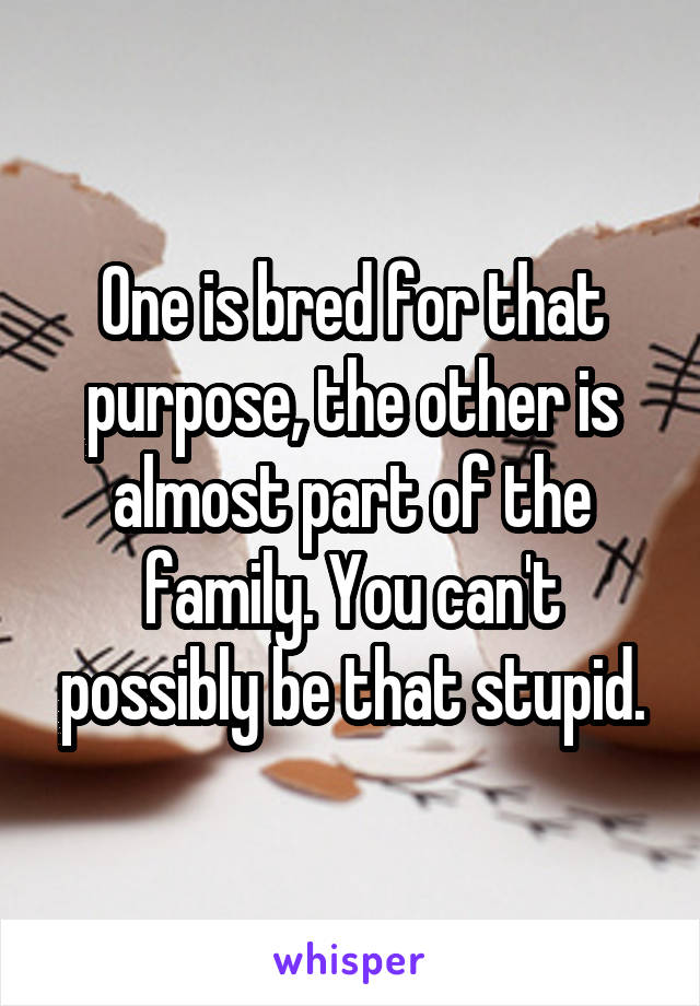 One is bred for that purpose, the other is almost part of the family. You can't possibly be that stupid.