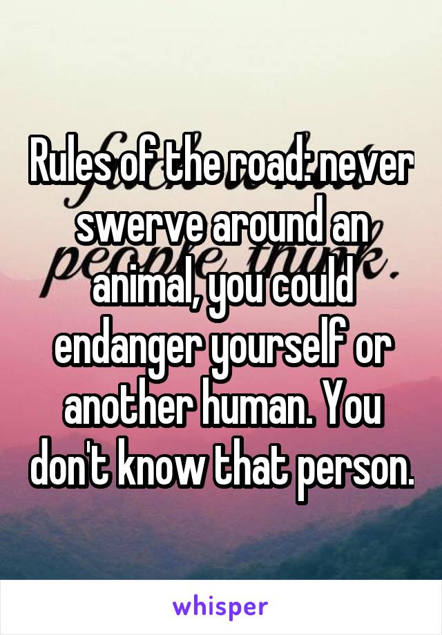 Rules of the road: never swerve around an animal, you could endanger yourself or another human. You don't know that person.