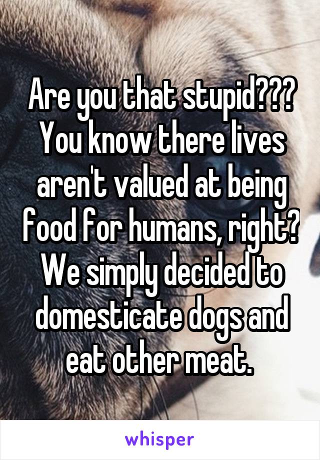 Are you that stupid??? You know there lives aren't valued at being food for humans, right? We simply decided to domesticate dogs and eat other meat. 