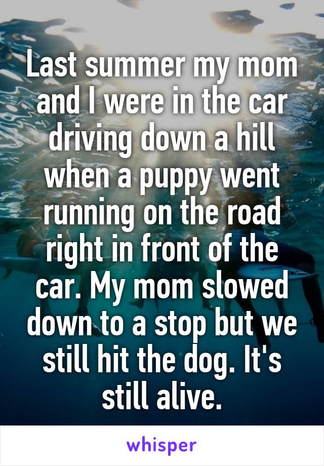 Last summer my mom and I were in the car driving down a hill when a puppy went running on the road right in front of the car. My mom slowed down to a stop but we still hit the dog. It's still alive.