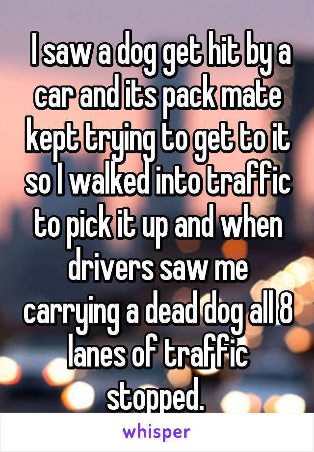  I saw a dog get hit by a car and its pack mate kept trying to get to it so I walked into traffic to pick it up and when drivers saw me carrying a dead dog all 8 lanes of traffic stopped. 