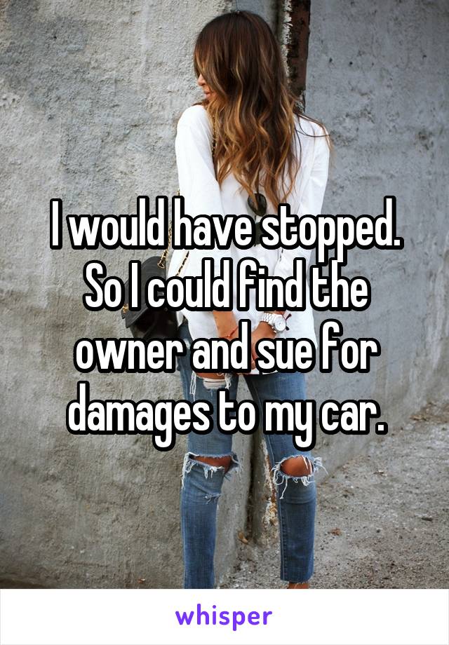 I would have stopped. So I could find the owner and sue for damages to my car.