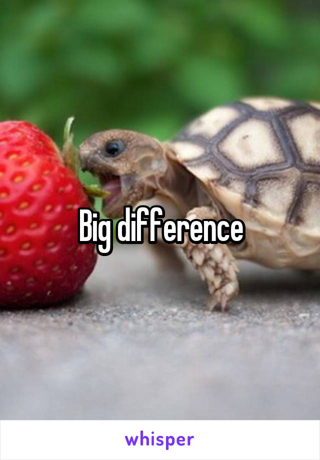 Big difference