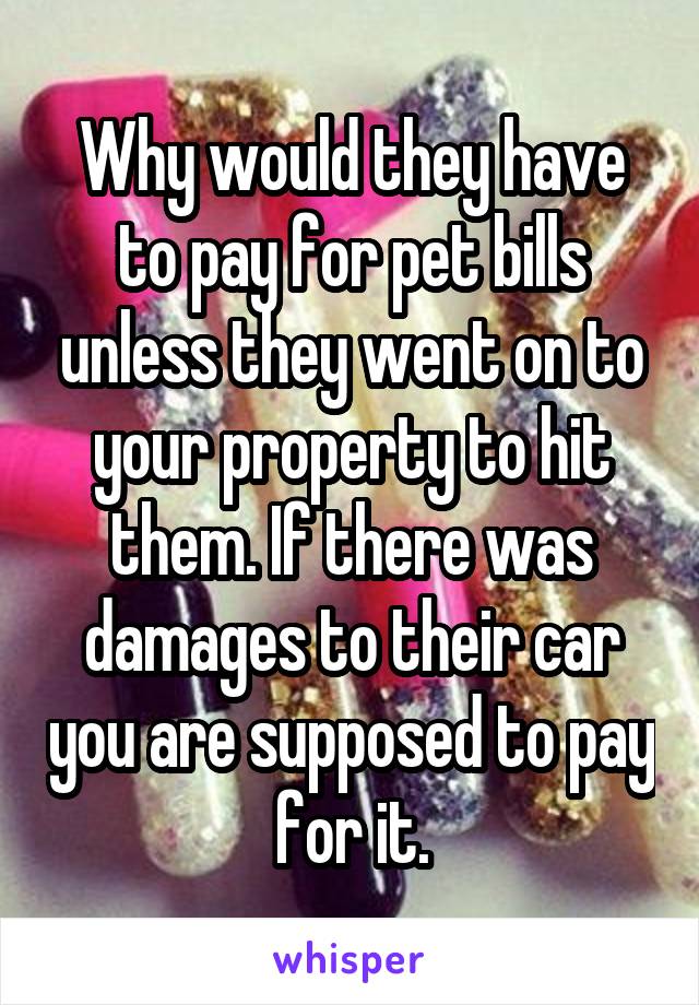 Why would they have to pay for pet bills unless they went on to your property to hit them. If there was damages to their car you are supposed to pay for it.