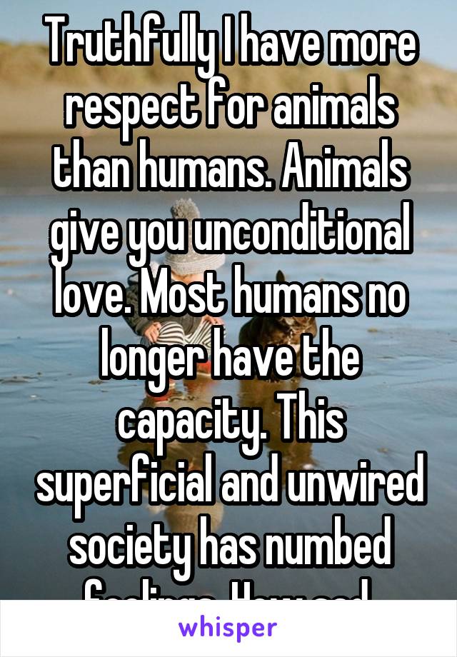 Truthfully I have more respect for animals than humans. Animals give you unconditional love. Most humans no longer have the capacity. This superficial and unwired society has numbed feelings. How sad.