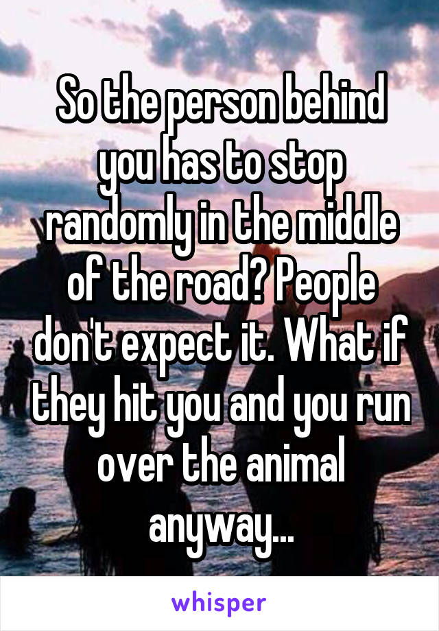 So the person behind you has to stop randomly in the middle of the road? People don't expect it. What if they hit you and you run over the animal anyway...