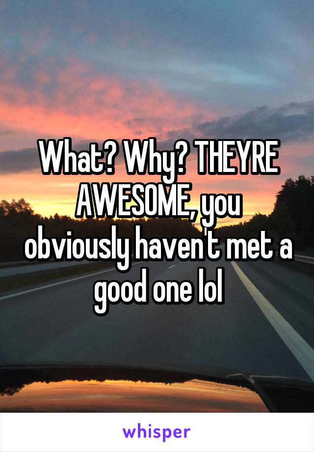 What? Why? THEYRE AWESOME, you obviously haven't met a good one lol