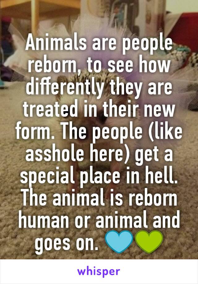 Animals are people reborn, to see how differently they are treated in their new form. The people (like asshole here) get a special place in hell. The animal is reborn human or animal and goes on. 💙💚