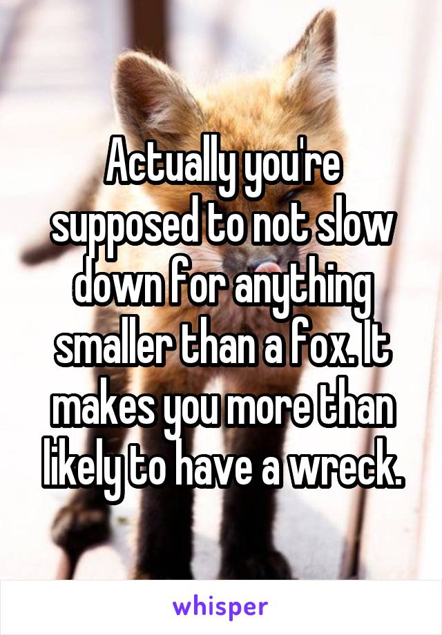 Actually you're supposed to not slow down for anything smaller than a fox. It makes you more than likely to have a wreck.