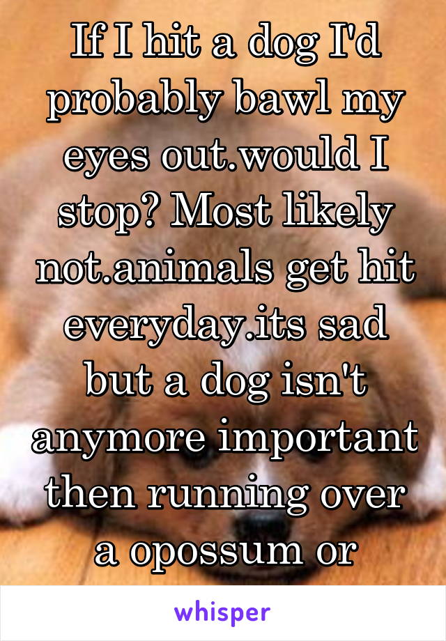 If I hit a dog I'd probably bawl my eyes out.would I stop? Most likely not.animals get hit everyday.its sad but a dog isn't anymore important then running over a opossum or squirrel etc