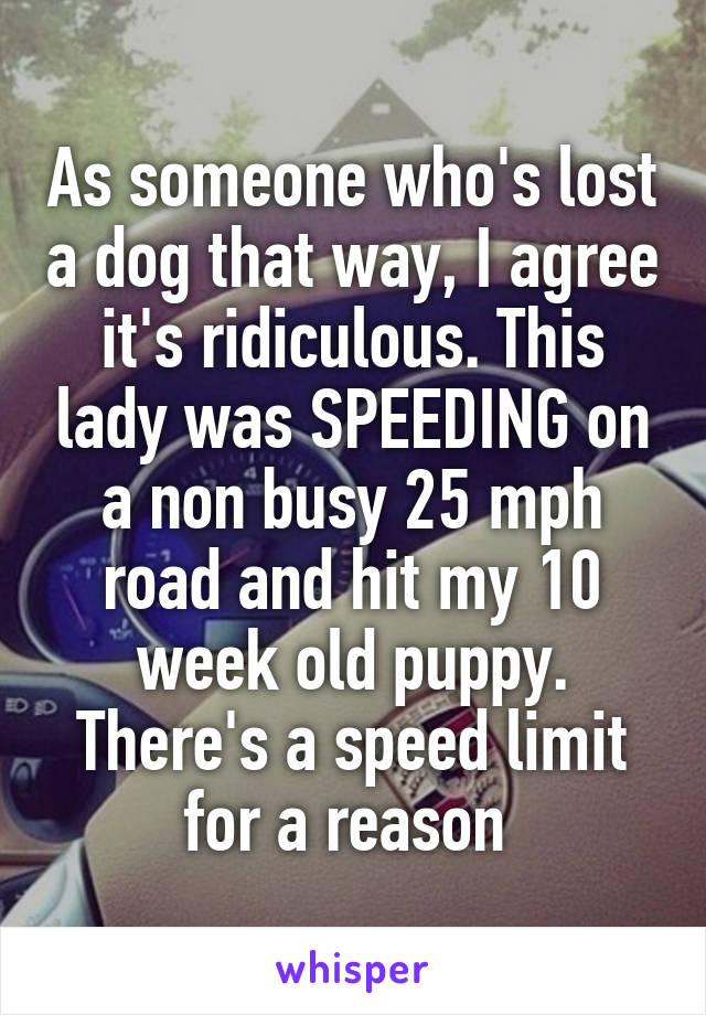 As someone who's lost a dog that way, I agree it's ridiculous. This lady was SPEEDING on a non busy 25 mph road and hit my 10 week old puppy. There's a speed limit for a reason 