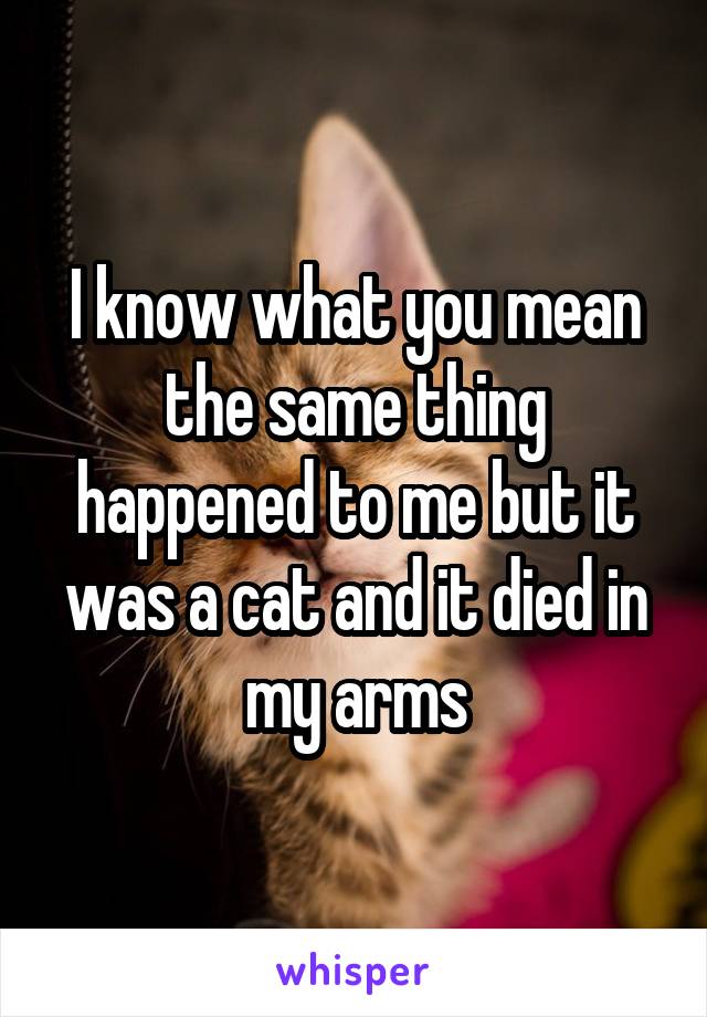 I know what you mean the same thing happened to me but it was a cat and it died in my arms