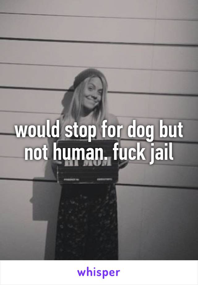 would stop for dog but not human. fuck jail