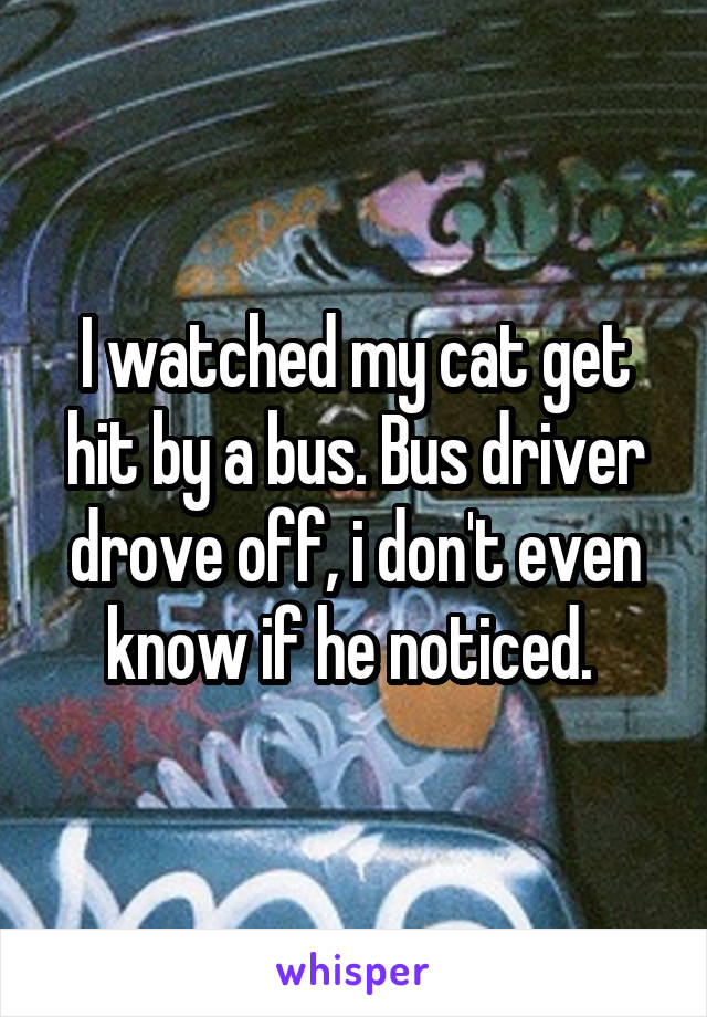 I watched my cat get hit by a bus. Bus driver drove off, i don't even know if he noticed. 