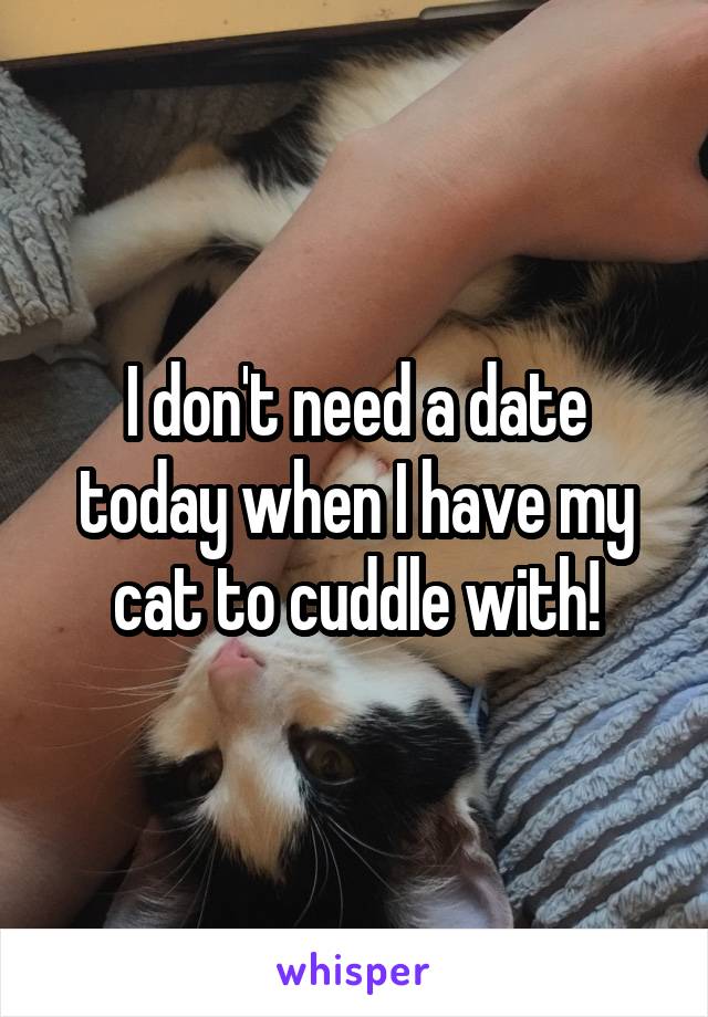 I don't need a date today when I have my cat to cuddle with!