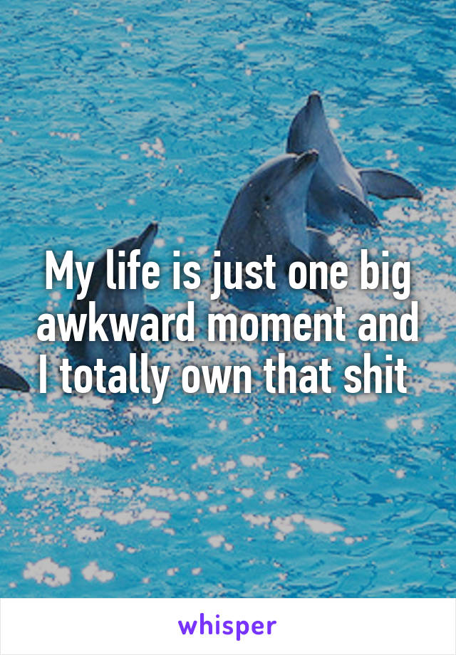 My life is just one big awkward moment and I totally own that shit 