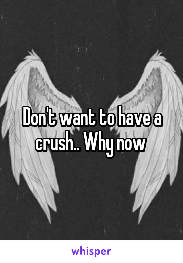 Don't want to have a crush.. Why now 