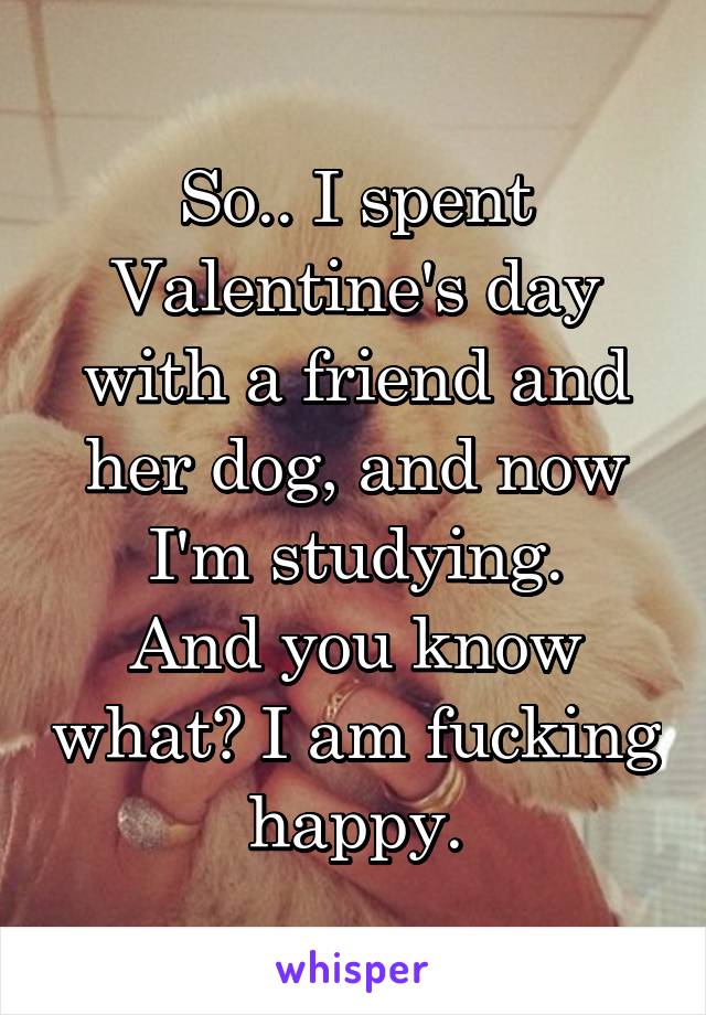 So.. I spent Valentine's day with a friend and her dog, and now I'm studying.
And you know what? I am fucking happy.