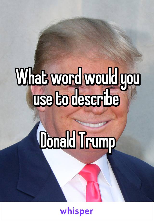 What word would you use to describe 

Donald Trump