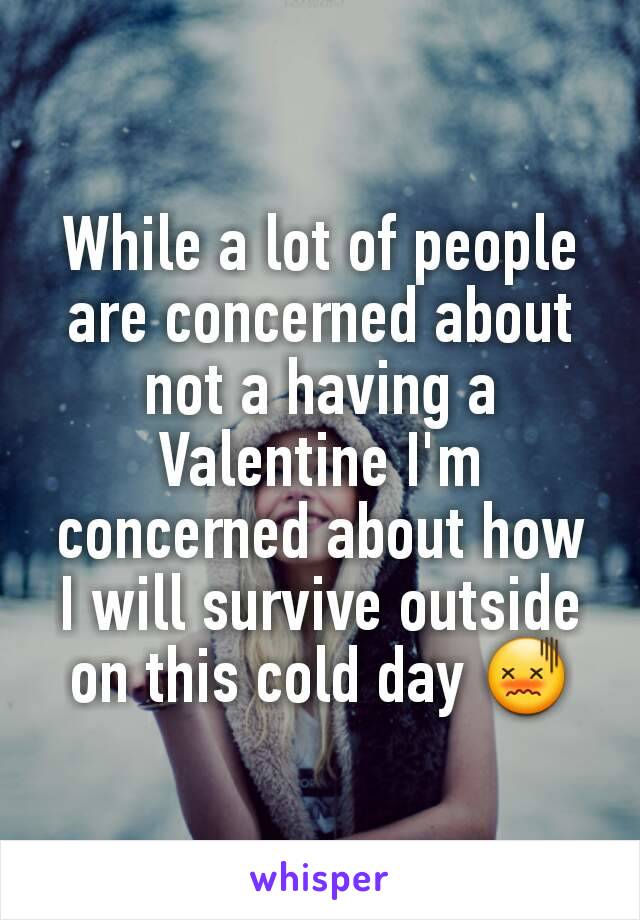 While a lot of people are concerned about not a having a Valentine I'm concerned about how I will survive outside on this cold day 😖