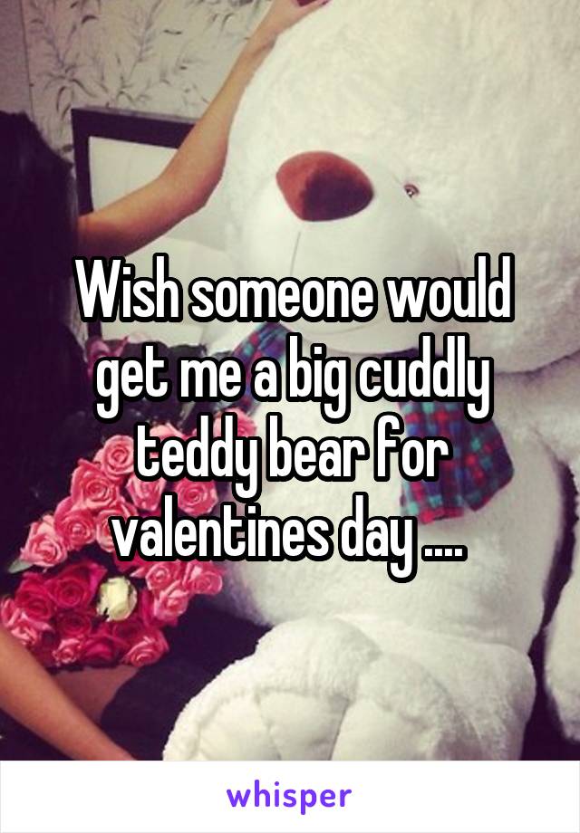 Wish someone would get me a big cuddly teddy bear for valentines day .... 