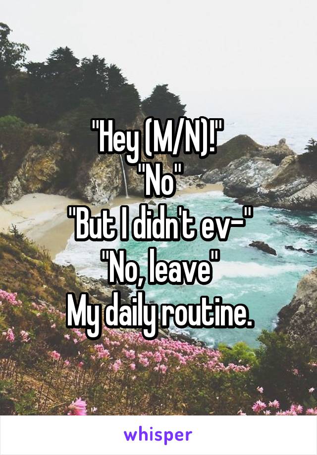"Hey (M/N)!" 
"No"
"But I didn't ev-"
"No, leave"
My daily routine.