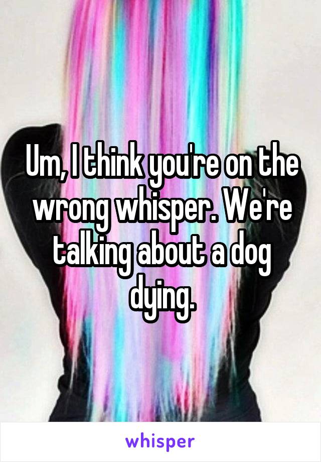 Um, I think you're on the wrong whisper. We're talking about a dog dying.