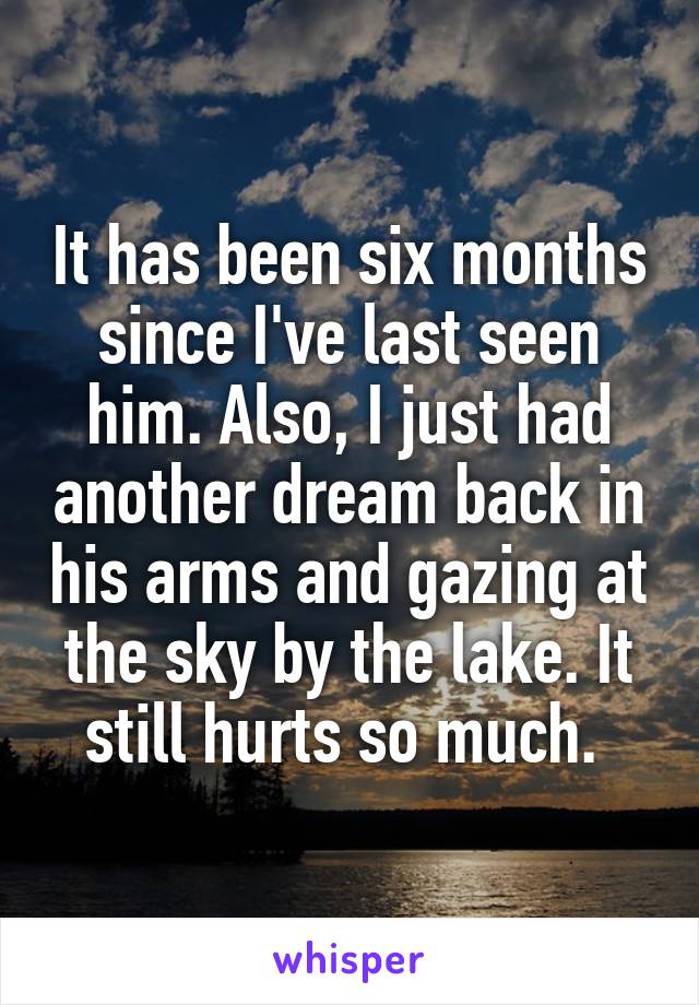 It has been six months since I've last seen him. Also, I just had another dream back in his arms and gazing at the sky by the lake. It still hurts so much. 