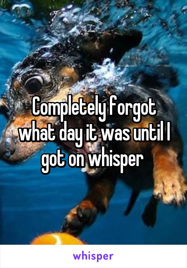 Completely forgot what day it was until I got on whisper 