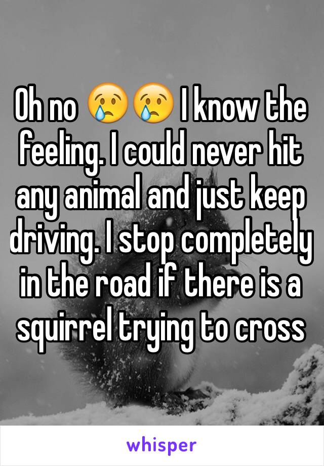 Oh no 😢😢 I know the feeling. I could never hit any animal and just keep driving. I stop completely in the road if there is a squirrel trying to cross