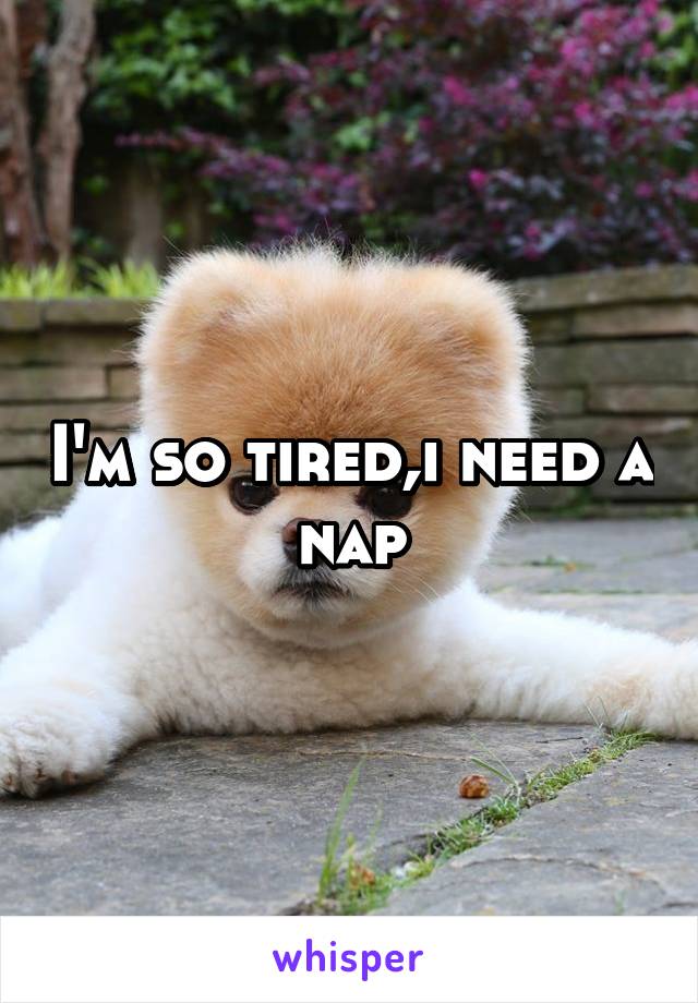 I'm so tired,i need a nap