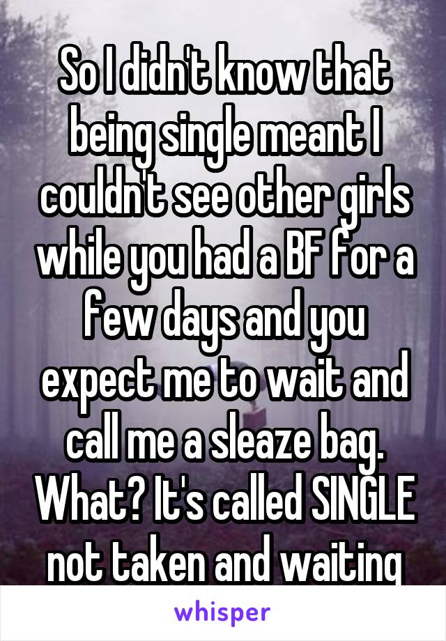 So I didn't know that being single meant I couldn't see other girls while you had a BF for a few days and you expect me to wait and call me a sleaze bag. What? It's called SINGLE not taken and waiting