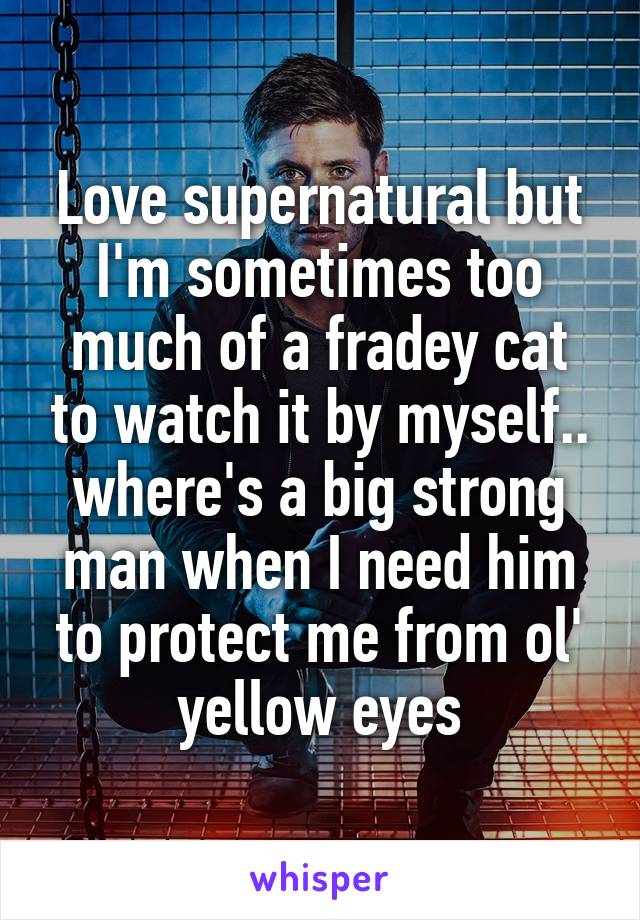 Love supernatural but I'm sometimes too much of a fradey cat to watch it by myself.. where's a big strong man when I need him to protect me from ol' yellow eyes