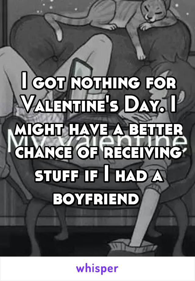 I got nothing for Valentine's Day. I might have a better chance of receiving stuff if I had a boyfriend 