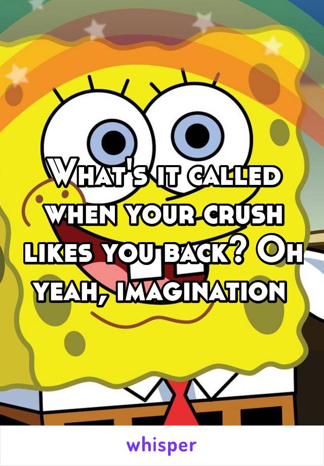 What's it called when your crush likes you back? Oh yeah, imagination 