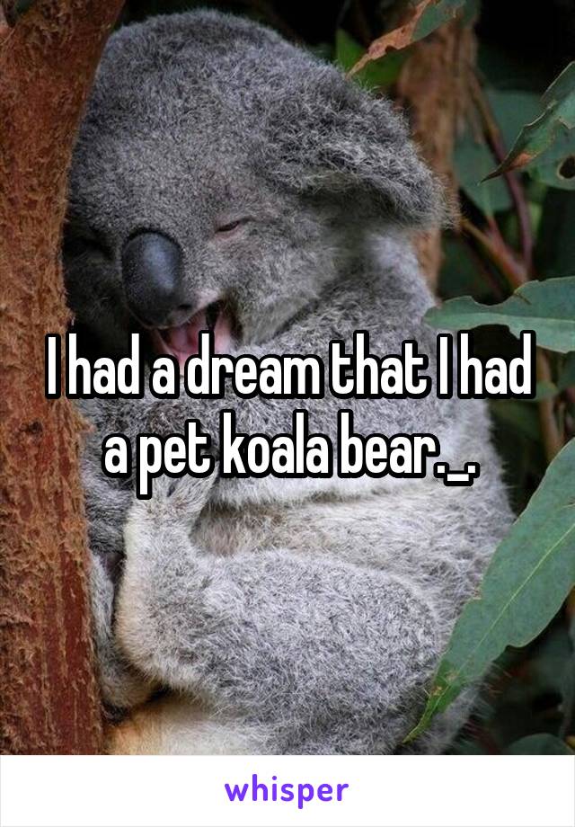 I had a dream that I had a pet koala bear._.