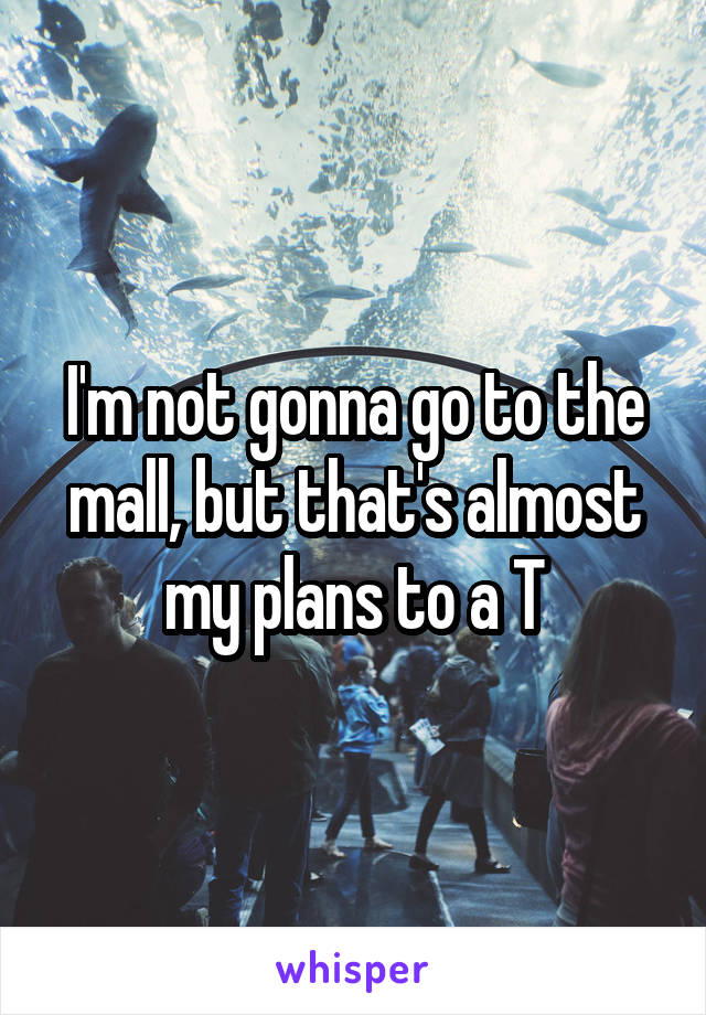 I'm not gonna go to the mall, but that's almost my plans to a T