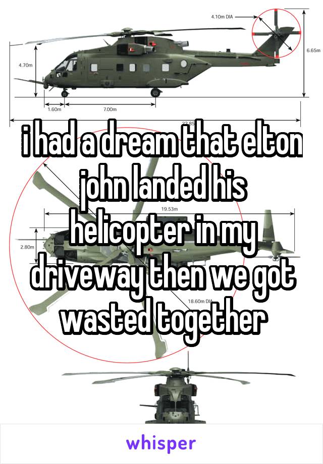i had a dream that elton john landed his helicopter in my driveway then we got wasted together