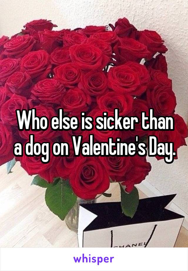 Who else is sicker than a dog on Valentine's Day.