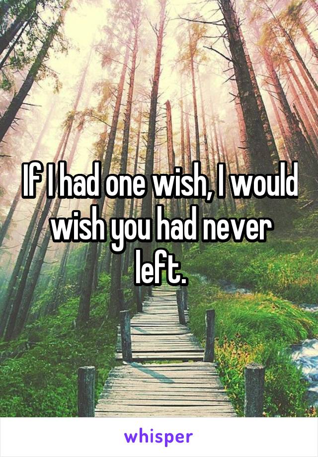 If I had one wish, I would wish you had never left.